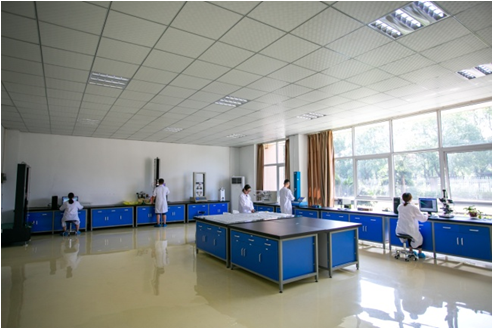 1583308848553792.png 744.png